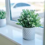 Prázdninový dům Videl Homes