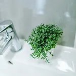 Videl Homes Manchester