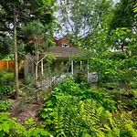 Garden In Hidden Oasis, - Pass The Keys *