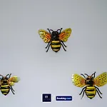 Apartmán Old 516 Listing *