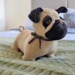 Apartmán Spacious Homely Near Ao Arena And Shopping Centre With 500mbps Internet & Netflix