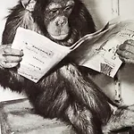 2 Bed 2 Bath Close To Ctre Sleeps 5 -free Parking Manchester