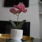 Heaven Chic * Manchester