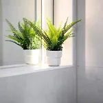 Appartement Luxury Heart Of Didsbury Manchester