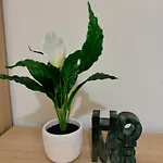 Daire Chic Trafford Apartment, Private Underground Parking, Fast Wi-fi, Self Check-in Anytime, 5 Mins To Old Trafford Stadium *