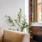Daire Two Bedroom By Brookland Serviced Short Lets With Free Wifi Manchester