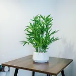 Spacious Stretford 3-Bed, Driveway Parking, Pool Table, Sleeps 6 *