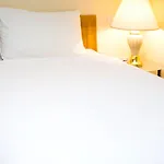 Hotel Sachas