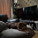 Female&family Single, Double And King Size With Shared Bathroom * 맨체스터