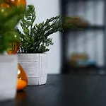 Apartmán Modern 2br Flat Parking Sleeps 6