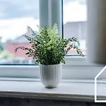 Spacious 3 Bed With Pac-man, Darts And 2 Parking Spaces Manchester