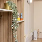 约翰·莱斯特&埃德·科尔曼公寓（校园住宿） * 曼彻斯特