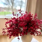 Prázdninový dům Modern And Comfy 3 Bed Near Etihad, Coop Live Arena And Centre Manchester