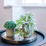 Free Park Stunning 3bedroom In 曼彻斯特