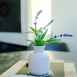 1br By Kammili - Near Centre, Universities & Hospital