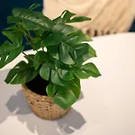 Apartmán Manchester Resort Manchester