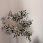 Flat In - Dudleys Dove مانشستر