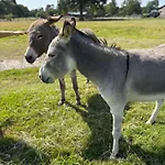 Nyaraló Farm Retreat