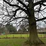 Nyaraló Farm Retreat *