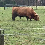 Nyaraló Farm Retreat