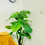 Stylish 4 Bedrome House - Free Parking Дом отдыха