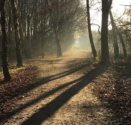 Chorlton Garden Rooms. Relax, Work, And Play. * Manchester