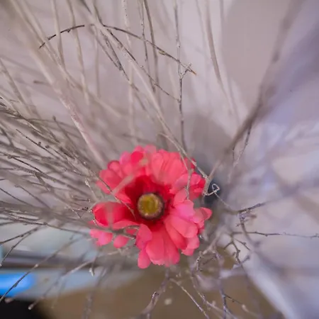 Lejlighed Alban Townhouse *