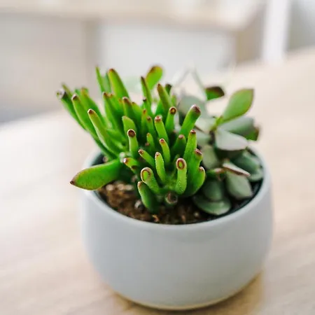 Hilltop Serviced Apartments- Northern Quarter * Mánchester