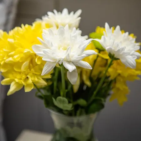 Bright And Beautiful Double *