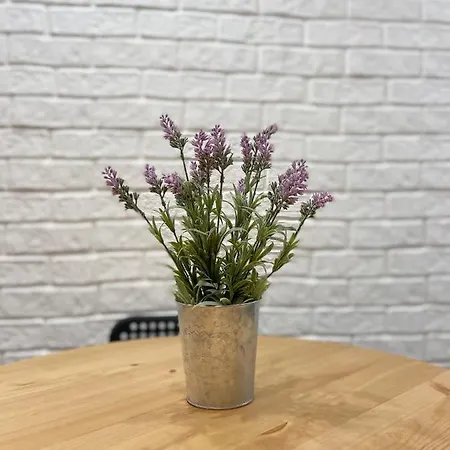 One Bed - Centre アパート *