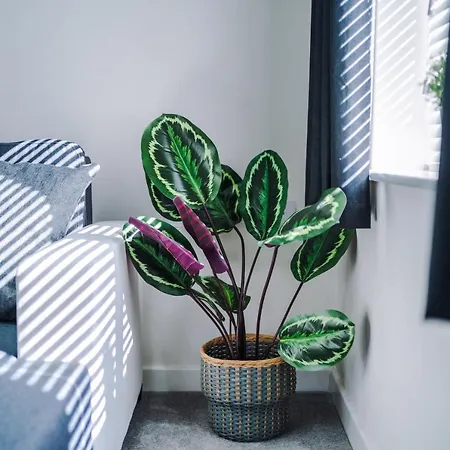 Vidale Court, 3 Bedroom House With River Irwell View, Sleeps 6 * Manchester