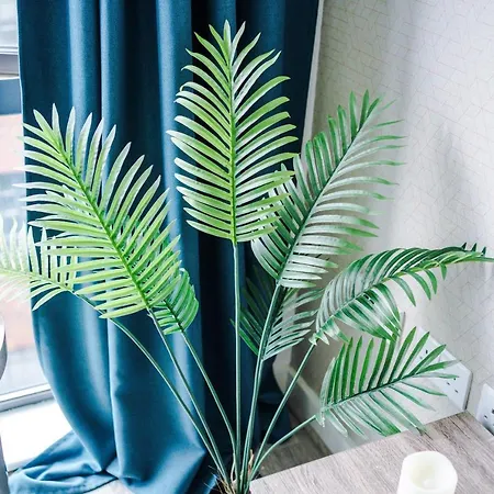 Casa de Férias Loom St *