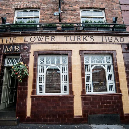 Lower Turks Head