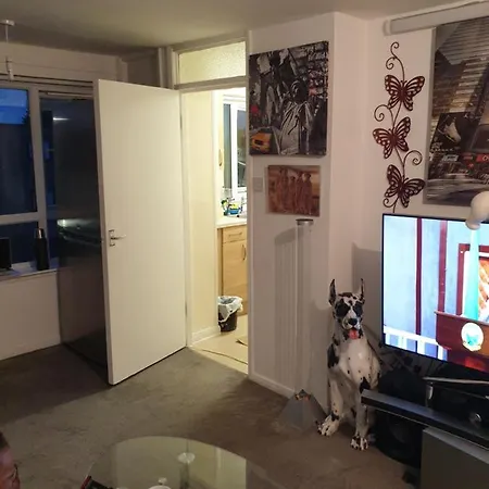 Splendid 1Bedroom Home Lejlighed
