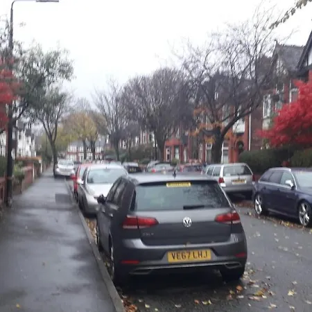 Bird Song Old Trafford