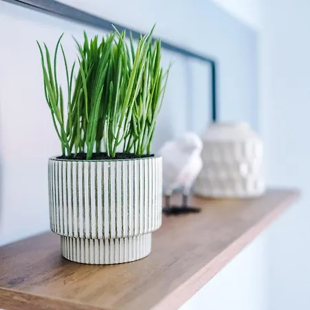 Apartamento Stunning House - Garden