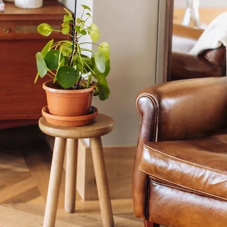 Hotel apartamentowy Native 4*