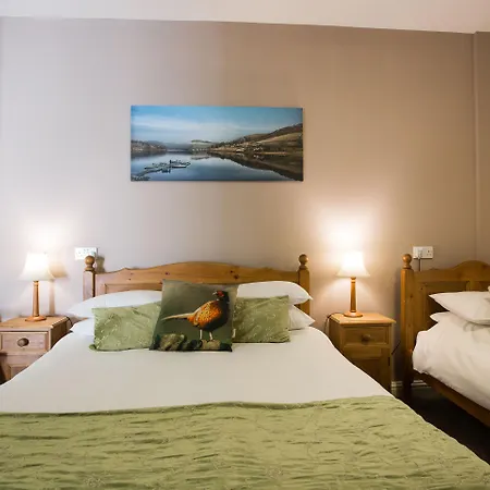 Oyo Ladybower 3* במפורד