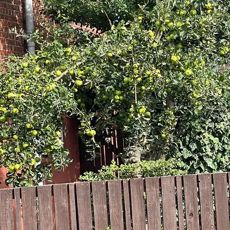 Private Studio Flat Great Location In