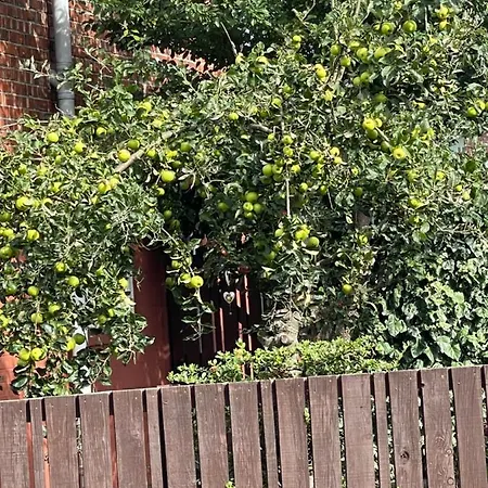 Private Studio Flat Great Location In