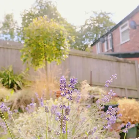Bee - Caldecott House Holiday home Manchester
