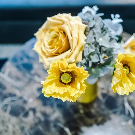 Weelky And Monthly Bookings At Cassia Unit - Telly Homes Ltd -brand New 1 Bedroom Salford, Манчестер