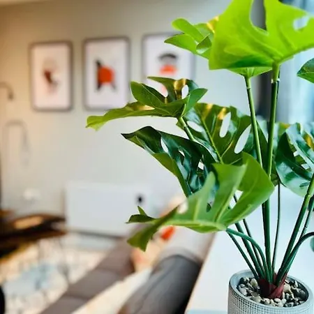 Apartment Unique Studio Near Old Trafford Stadium - Sleeps Up To 4!