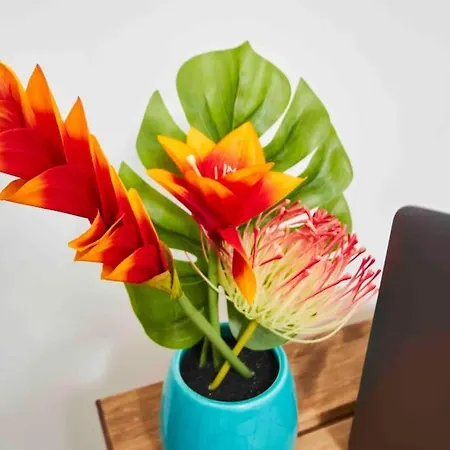 Apartment Dellehomes- Free Parking, Wfh, Family-friendly