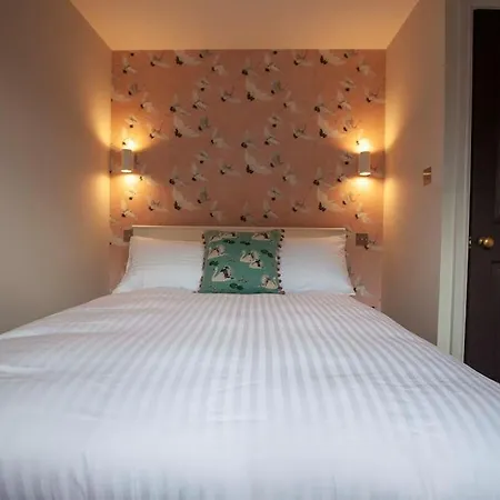Gorgeous Large House In Quiet Residential Area *