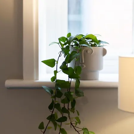 High Street Town House Lejlighedshotel