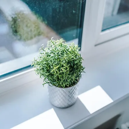 Videl Homes Dom wakacyjny *