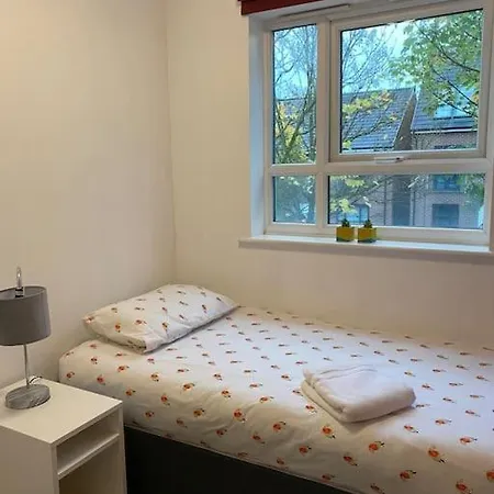 Cheerful 4-bedroom House With Multiple Car Parking *