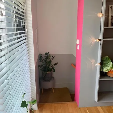 Designer House And Garden With Parking Apartment