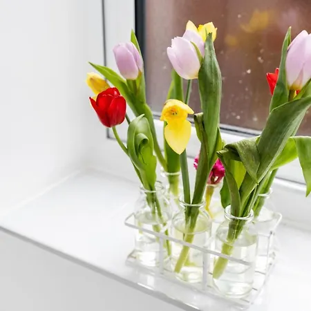 4 Bedroom, 3 Bathroom Walking Distance To Centre